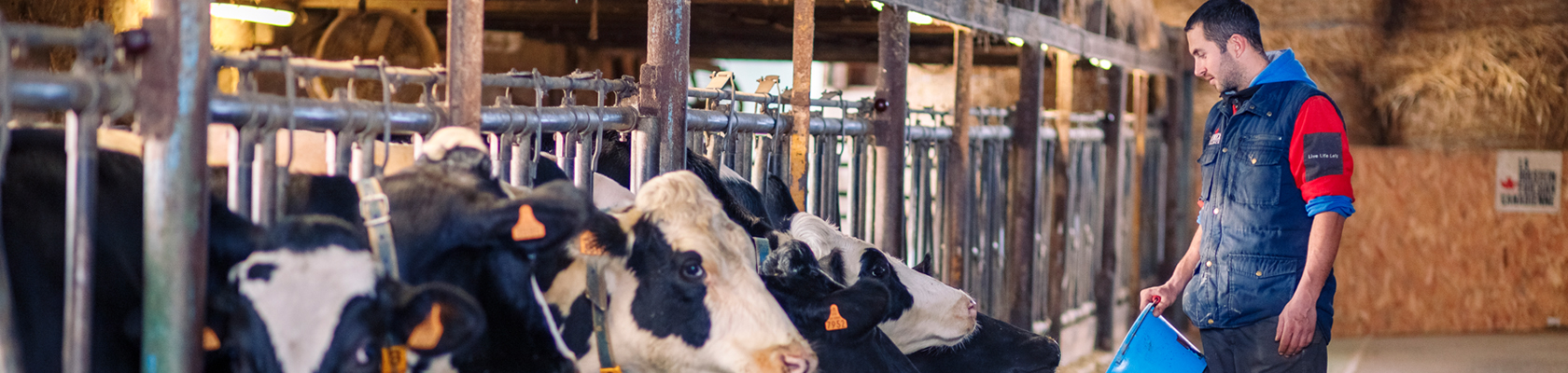 Publication par l'Institut de l'Elevage et le RMT travail