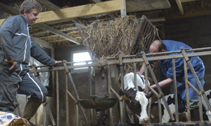 Stop aux poux : 3 conseils pour limiter l’infestation