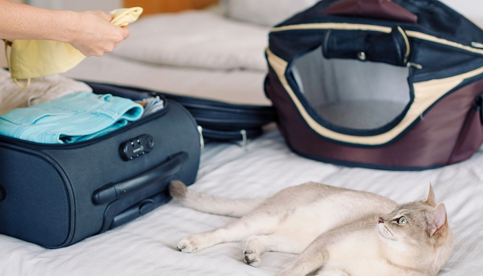 partir_en_vacances_garder_chat.jpg